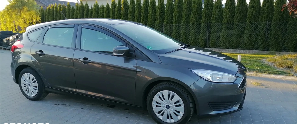 Ford Focus cena 36999 przebieg: 98000, rok produkcji 2018 z Siemiatycze małe 154